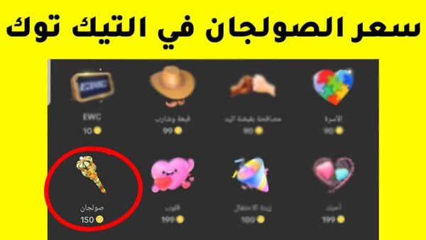 سعر الصولجان في التيك توك